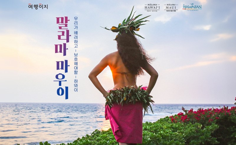 뉴스 사진
